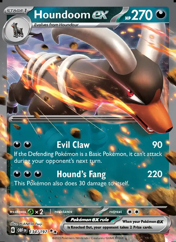 Image of the card Houndoom ex