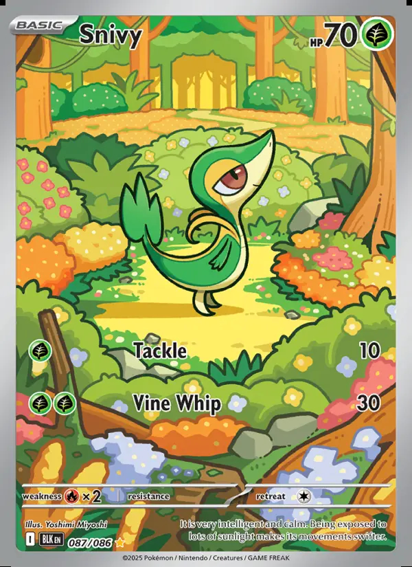 Image of the card Snivy